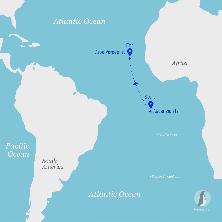 OCEANWIDE-I