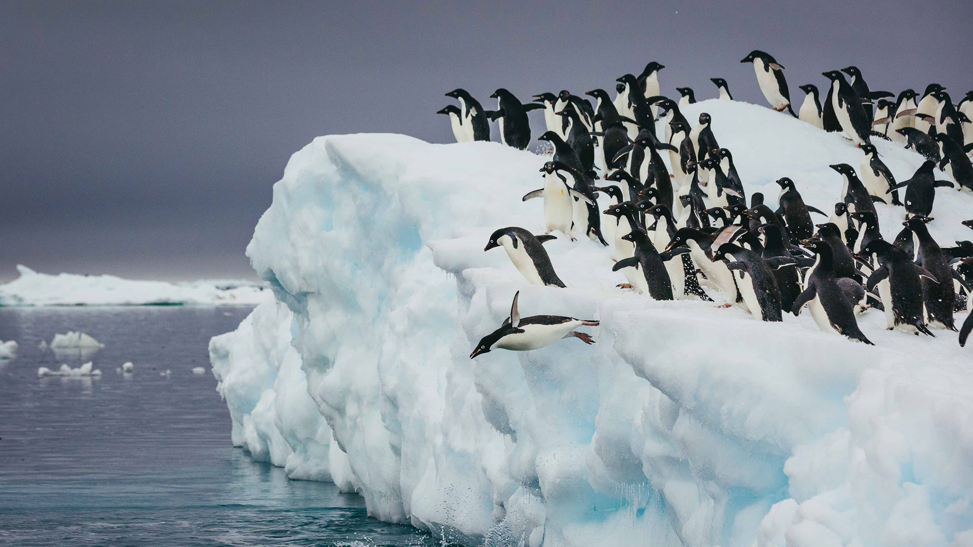 HOME_SPECIAL-DEALS South Georgia and Falkland Islands (Malvinas)