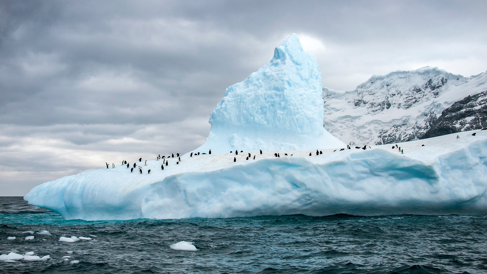 Остров Берк Антарктида